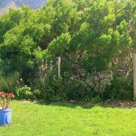 Cat Nap Cottage Bettyʼs Bay Buitenkant foto