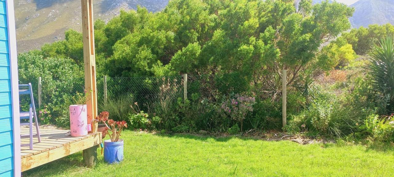 Cat Nap Cottage Bettyʼs Bay Buitenkant foto