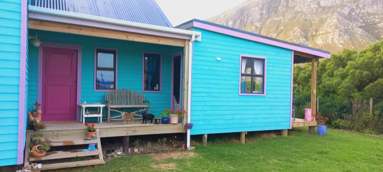 Cat Nap Cottage Bettyʼs Bay Buitenkant foto