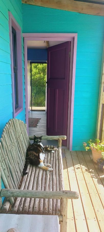 Cat Nap Cottage Bettyʼs Bay Buitenkant foto