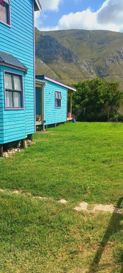 Cat Nap Cottage Bettyʼs Bay Buitenkant foto