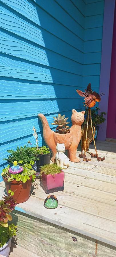 Cat Nap Cottage Bettyʼs Bay Buitenkant foto